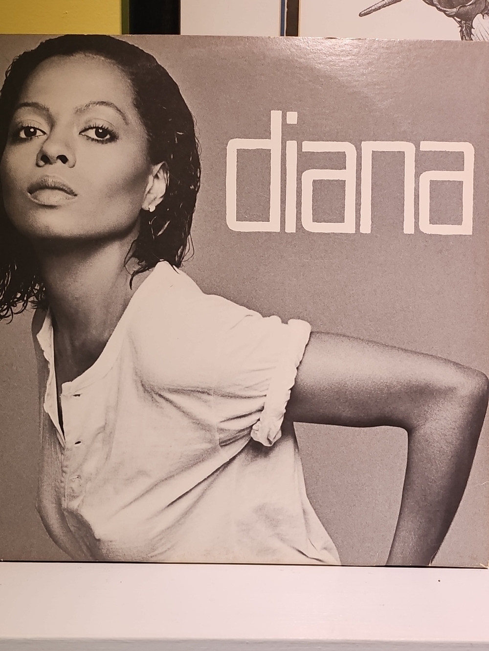 Diana - Diana Ross Vintage 1980 Album